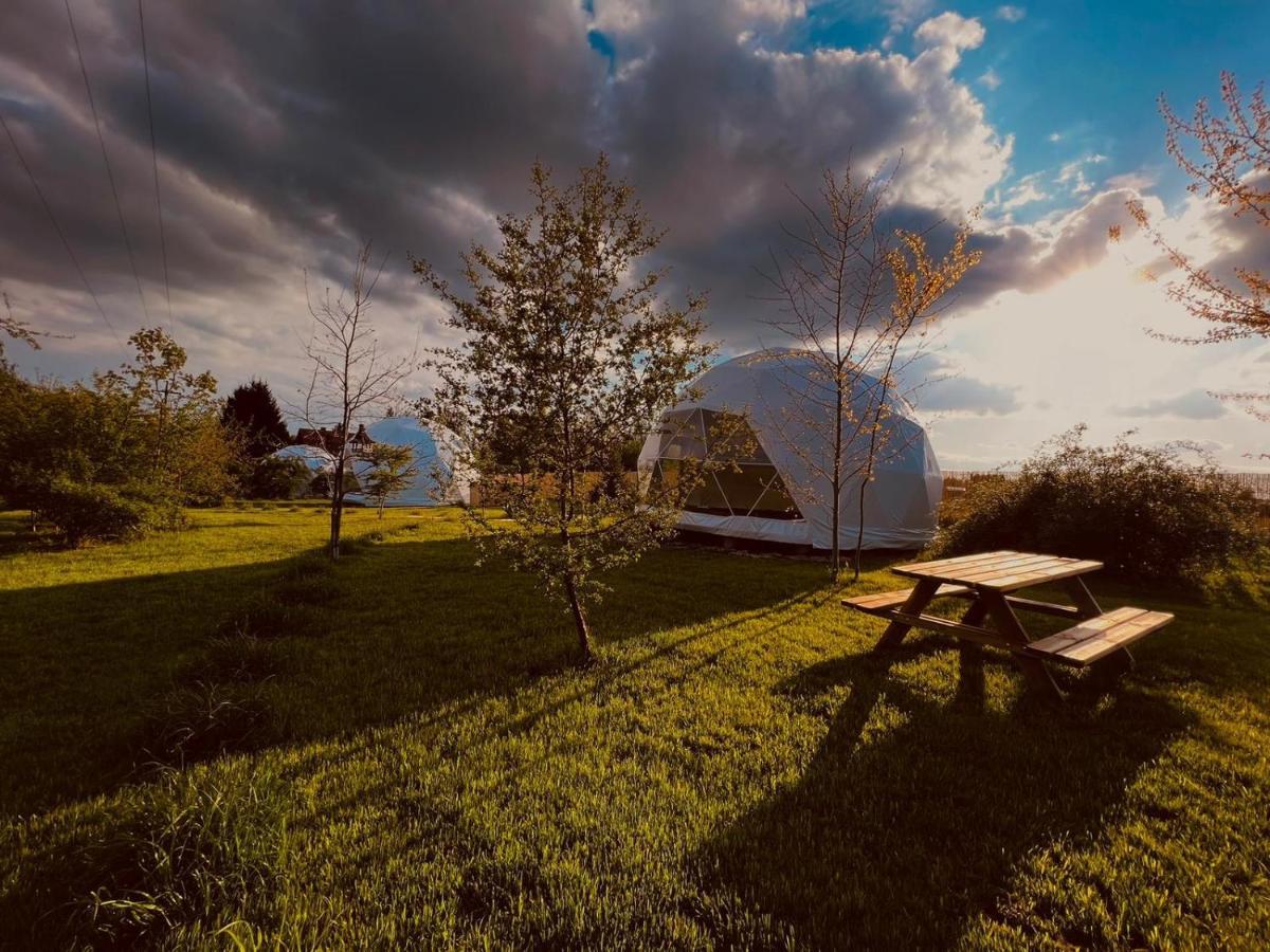 Glamping Stacja Zieleniec W Naleczowie Naleczow