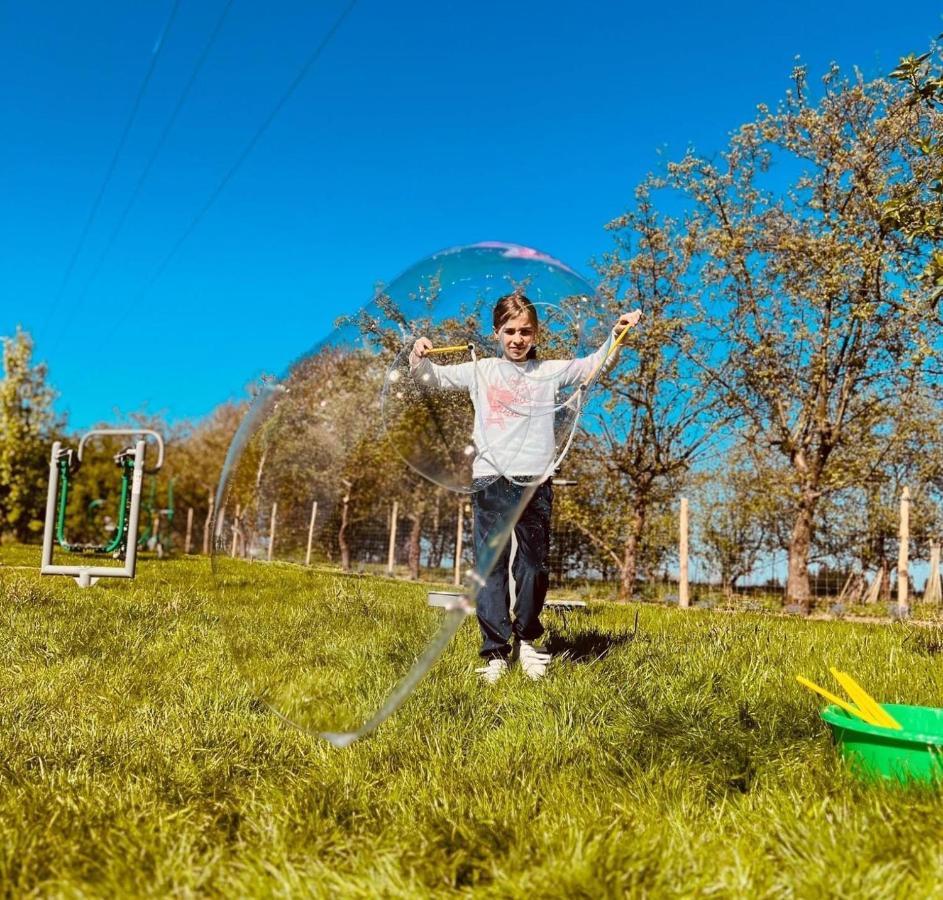 Glamping Stacja Zieleniec W Naleczowie * Naleczow