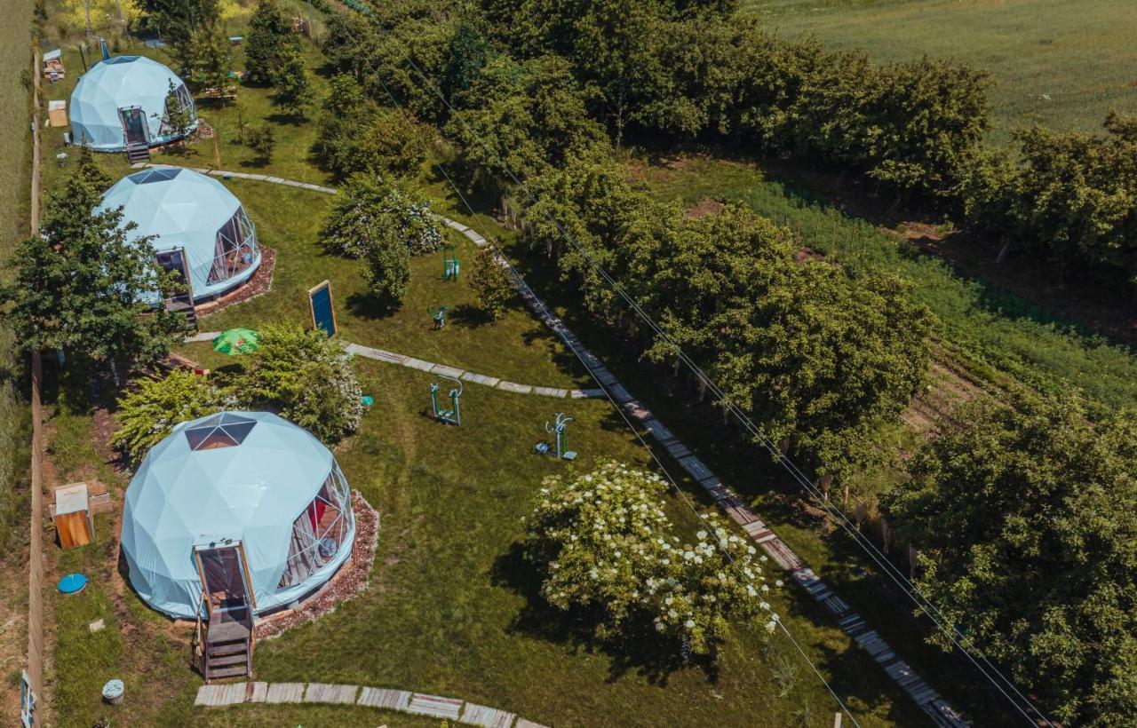 Glamping Stacja Zieleniec W Naleczowie *